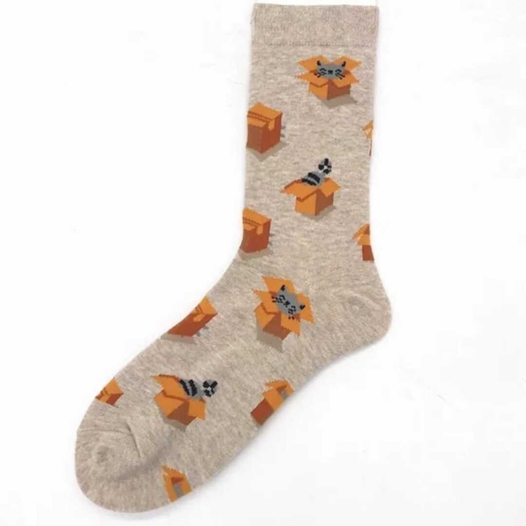 Chaussettes Chats dans des Boîtes