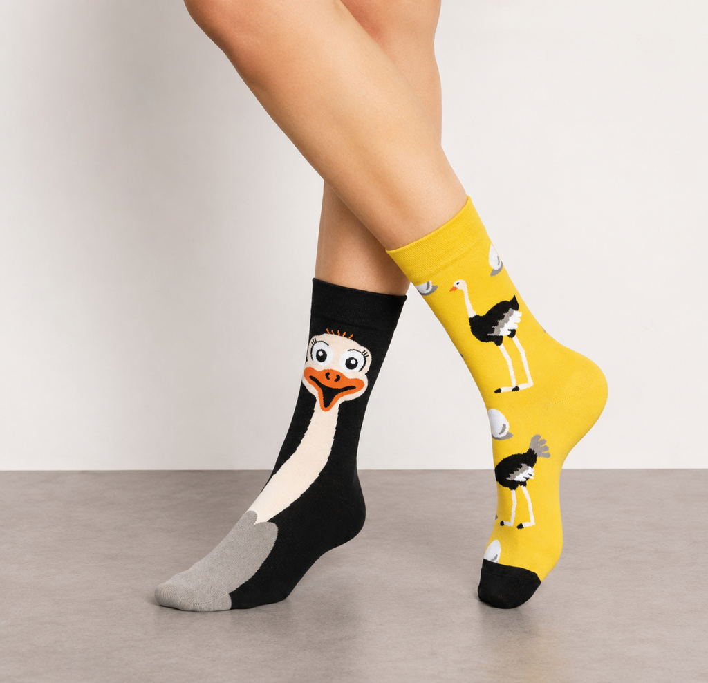 Paire de chaussettes autruches dépareillées 